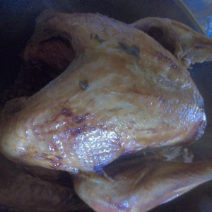 Recipe photo
