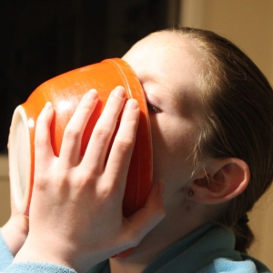 Recipe photo