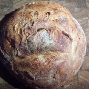Recipe photo