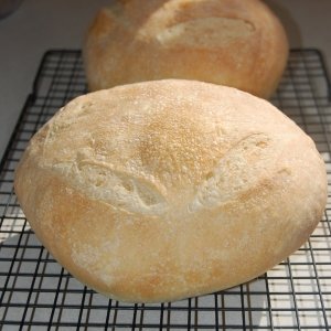 Recipe photo