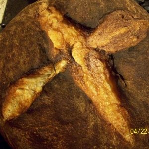 Recipe photo