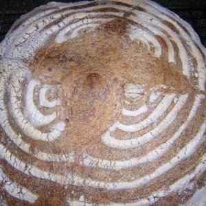 Recipe photo