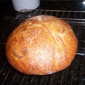 Recipe photo