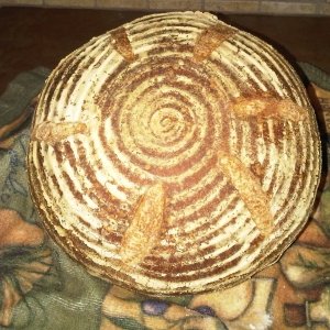 Recipe photo