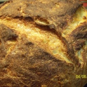 Recipe photo