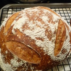 Recipe photo