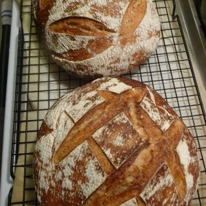 Recipe photo