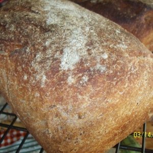 Recipe photo