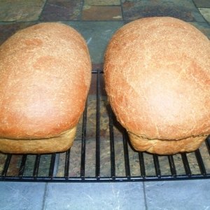 Recipe photo