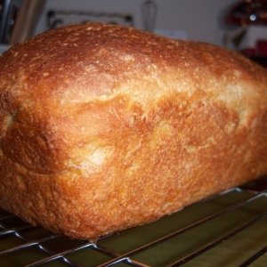 Recipe photo