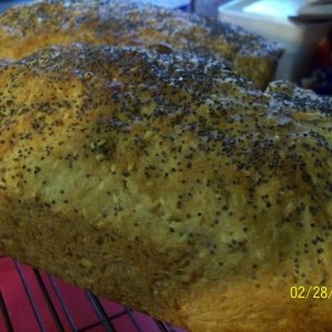 Recipe photo