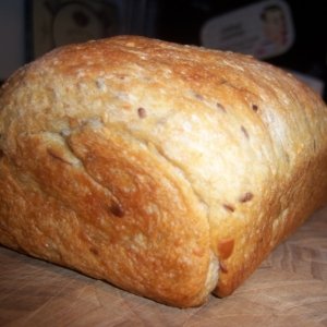 Recipe photo