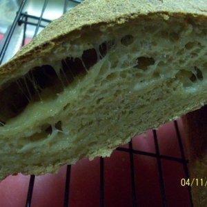 Recipe photo
