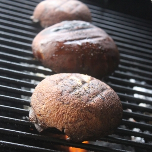 Recipe photo