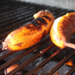 Recipe photo