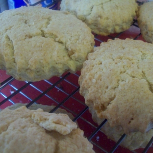 Recipe photo
