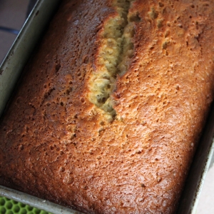 Recipe photo