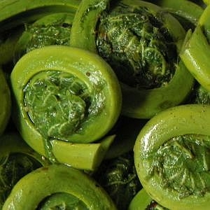 Recipe photo