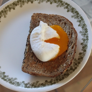 Recipe photo