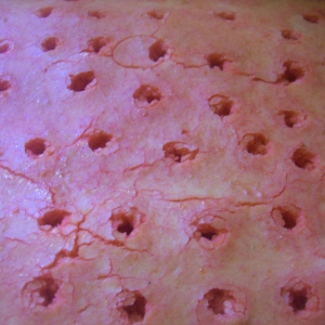 Recipe photo