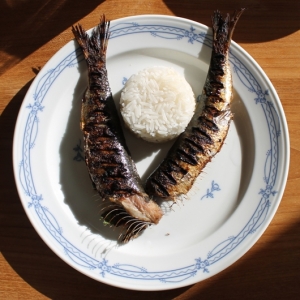 Recipe photo