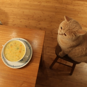 Recipe photo