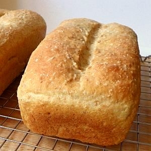 Recipe photo