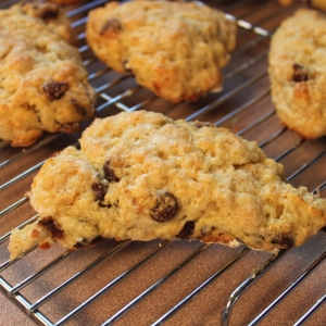 Recipe photo