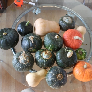 Recipe photo