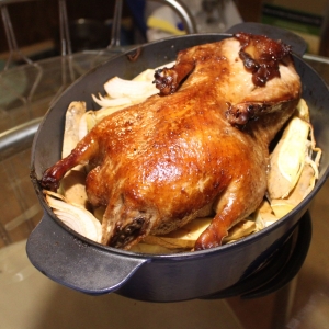 Recipe photo
