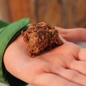 Recipe photo