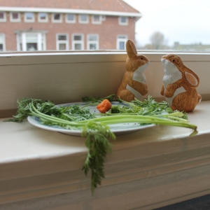 Recipe photo