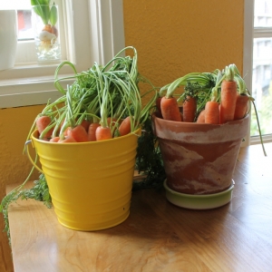 Recipe photo