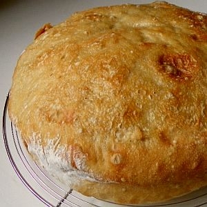 Recipe photo