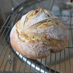 Recipe photo