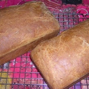 Recipe photo