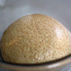 Recipe photo