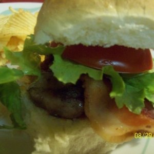 Recipe photo