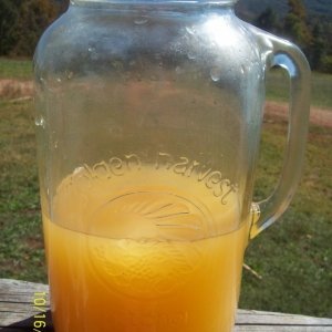 Recipe photo