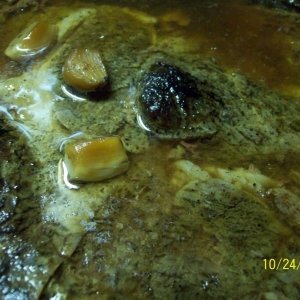 Recipe photo