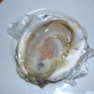 Recipe photo